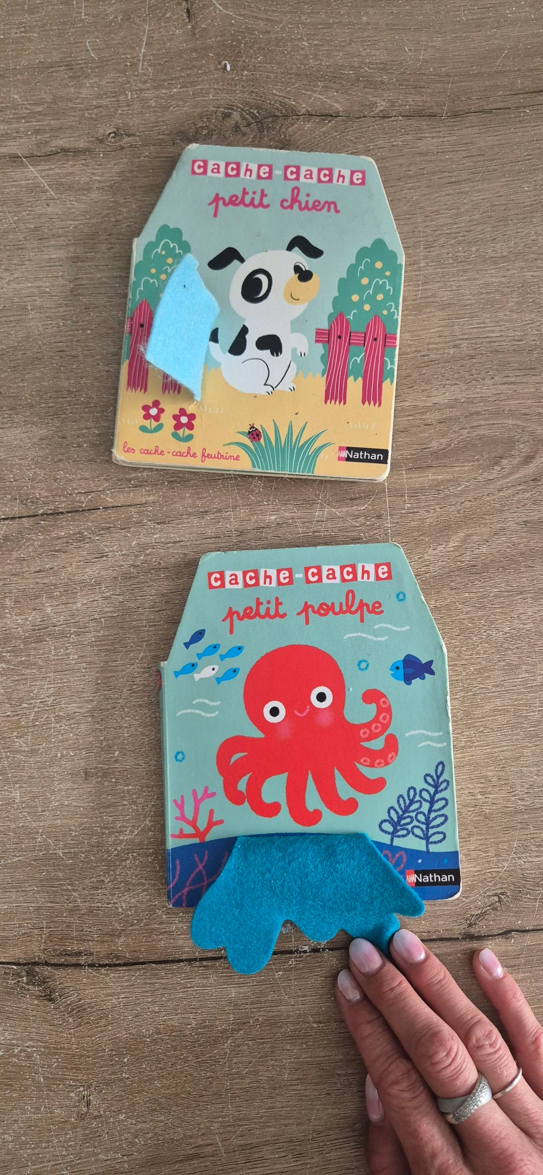 Lote de livros Cache-cache em feltro – photo 2